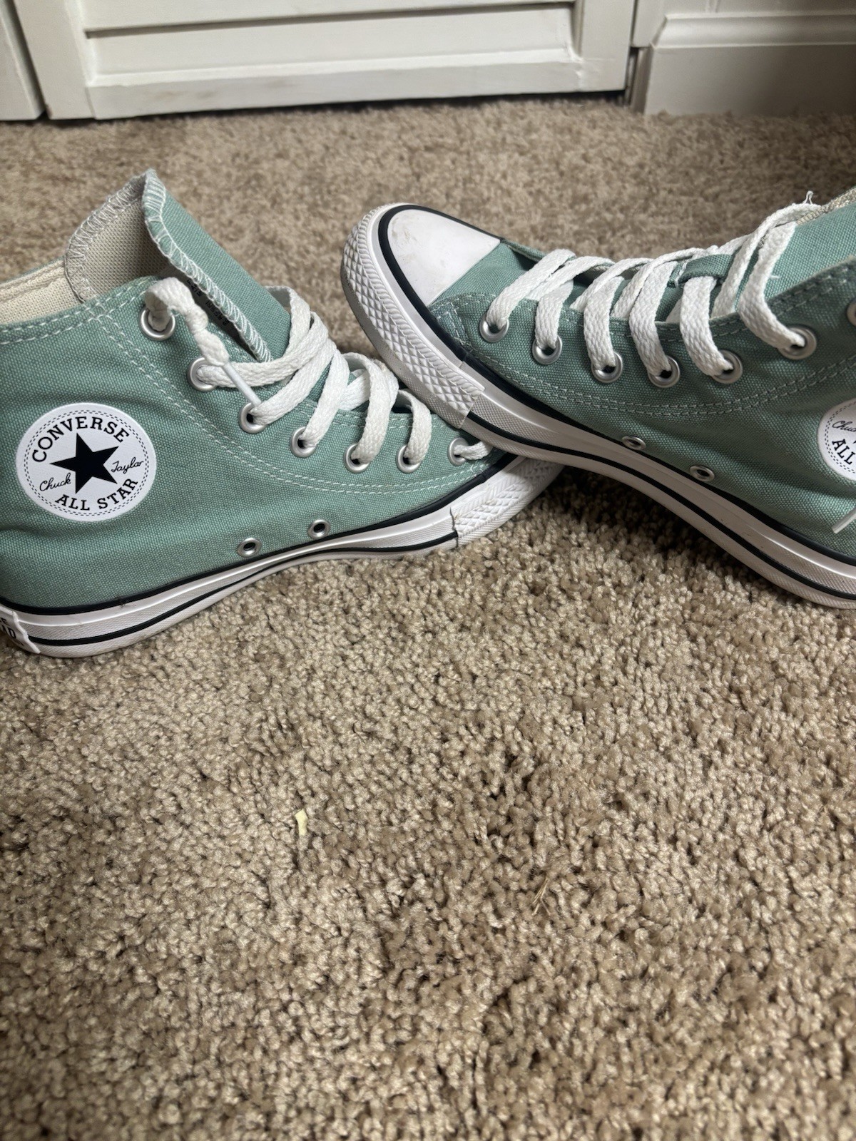 Converse Chuck Taylor All Star High Top Canvas Sneaker Green/White Herby A06563F
